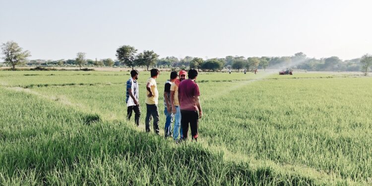 El empleo formal importa