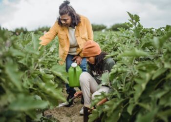 ¿Es la reducción de la jornada laboral una equivocación?