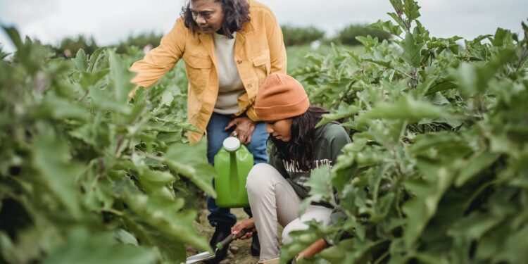 ¿Es la reducción de la jornada laboral una equivocación?