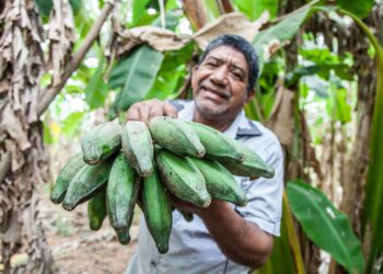 El día del Trabajo Decente