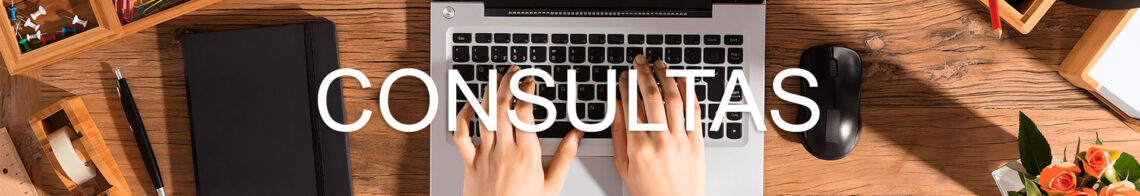 Consultas